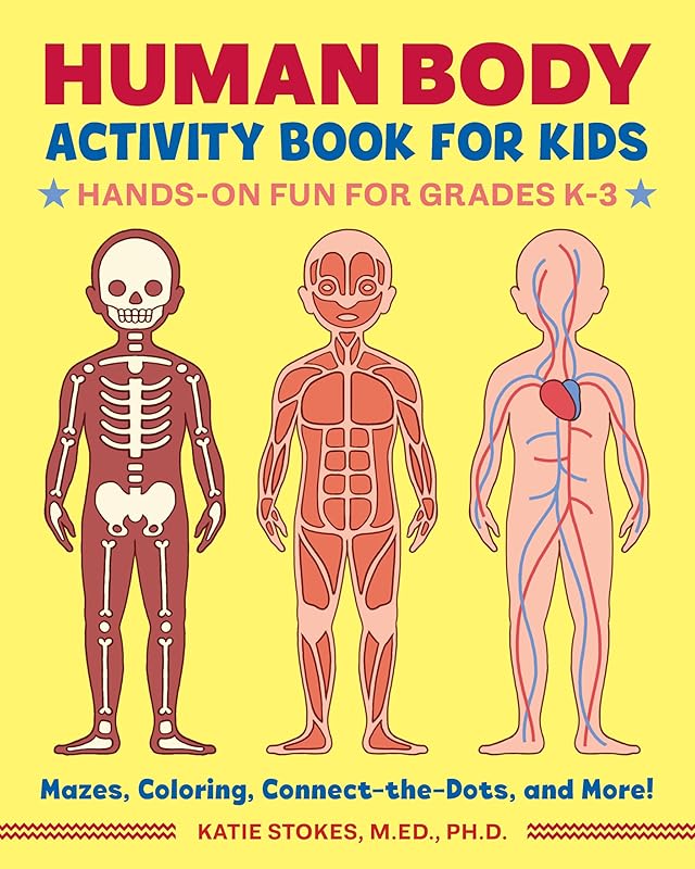 Human Body Activity Book for Kids: Hands-On Fun for Grades K-3 by Ph.D., Katie Stokes, M.Ed.