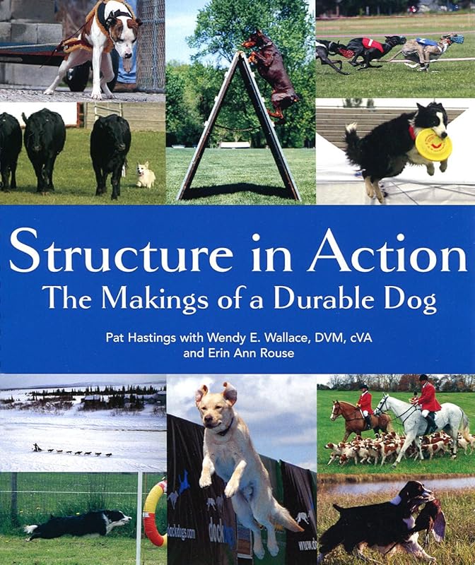 Structure in Action: The Makings of a Durable Dog by Pat Hastings