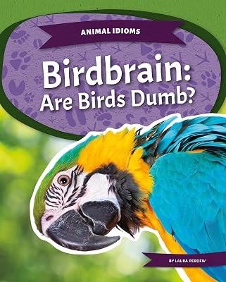Birdbrain: Are Birds Dumb?: Are Birds Dumb? (Animal Idioms)