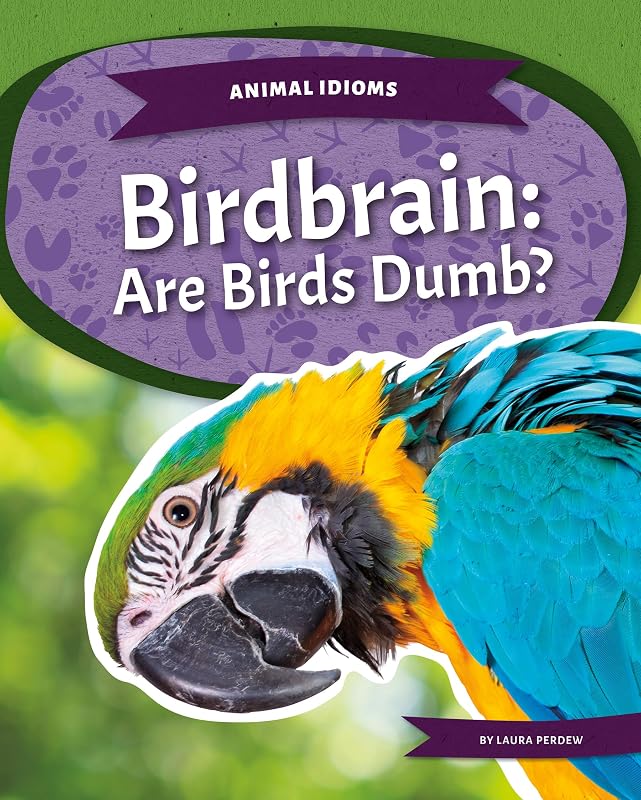 Birdbrain: Are Birds Dumb?: Are Birds Dumb? (Animal Idioms) by Laura Perdew
