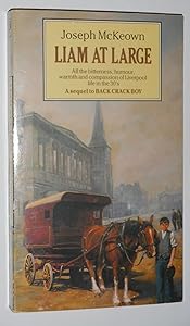 Liam at Large by Joseph McKeown