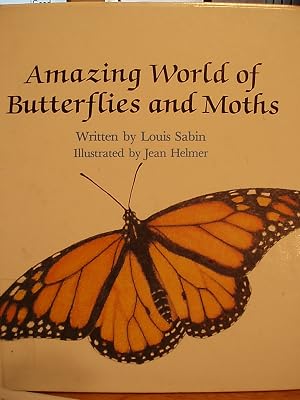 Amazing World of Butterflies and Moths