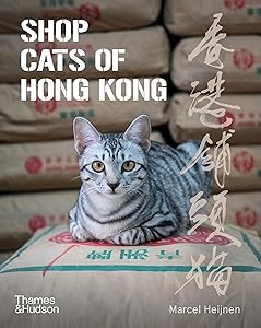 Shop Cats of Hong Kong /anglais by HEIJNEN MARCEL