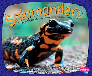 Salamanders (Amphibians)