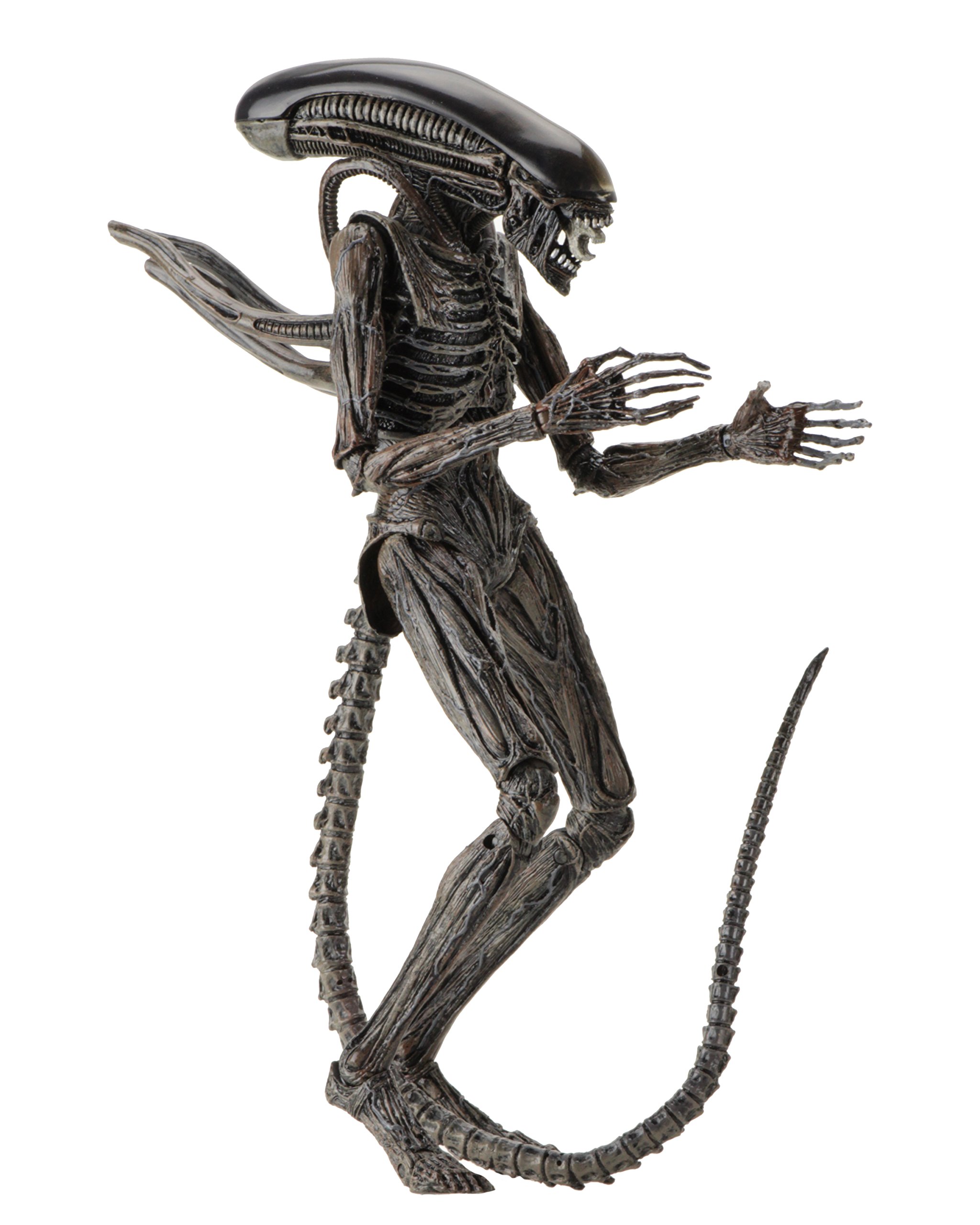 Neca Alien: Covenant - 7 Scale Action Figure - Xenomorph Neca Alien: Covenant - 7 Scale Action Figure - Xenomorph