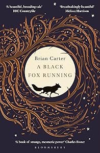 Black Fox Running