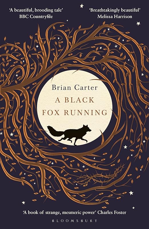 Black Fox Running by Brian Carter