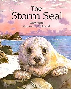 The Storm Seal by Judy Waite