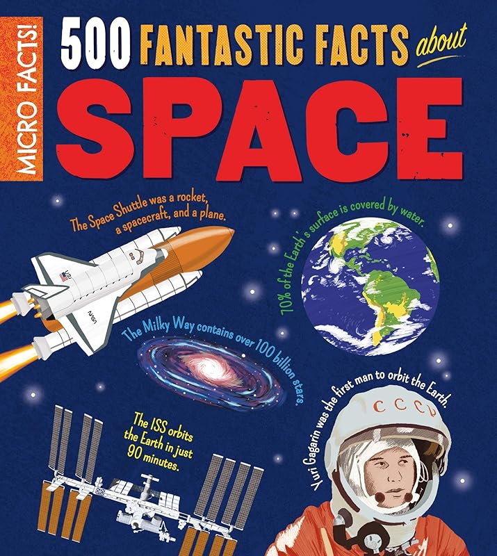 Micro Facts! 500 Fantastic Facts About Space by Anne Rooney