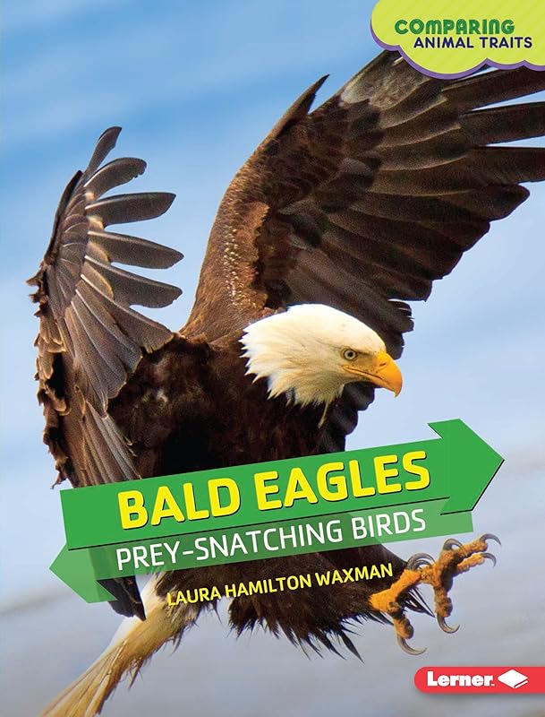 Bald Eagles: Prey-Snatching Birds (Comparing Animal Traits) by Laura Hamilton Waxman
