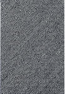 Skulptur Projekte Münster 2017