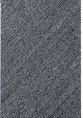 Skulptur Projekte Münster 2017