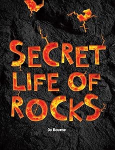 Abrams NFS inFact: Leveled Reader Secret Life of Rocks