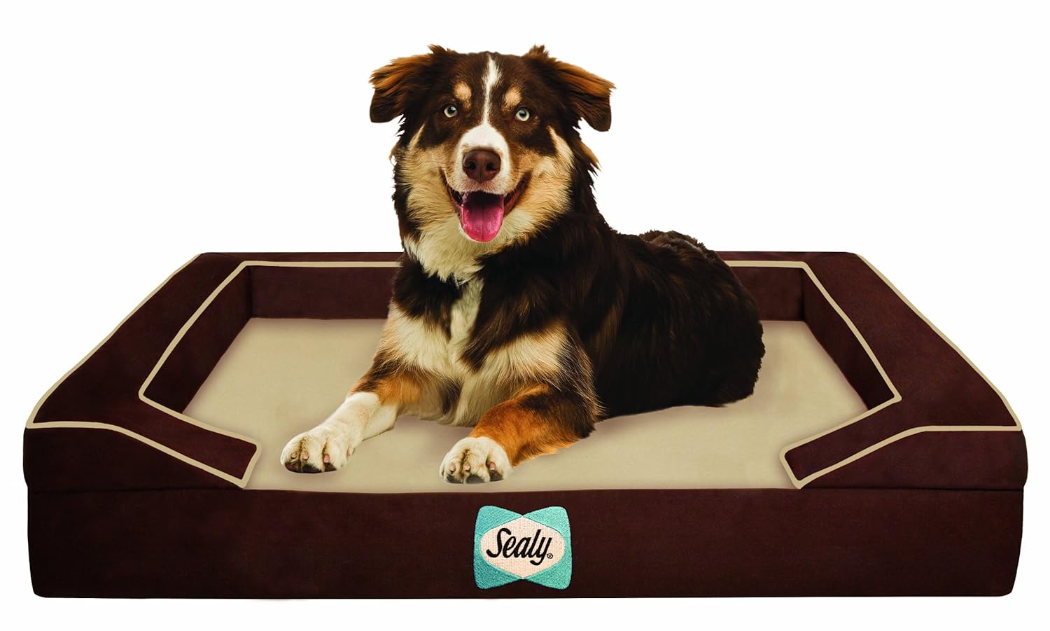 Best Orthopedic Dog Beds for Large Dogs