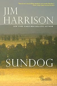 Sundog