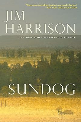 Sundog
