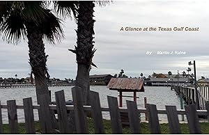 A Glance at the Texas Gulf Coast: before Hurricane Harvey by Martin J. Raine