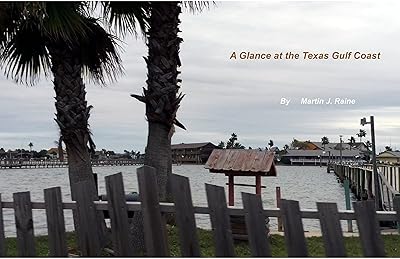 A Glance at the Texas Gulf Coast: before Hurricane Harvey