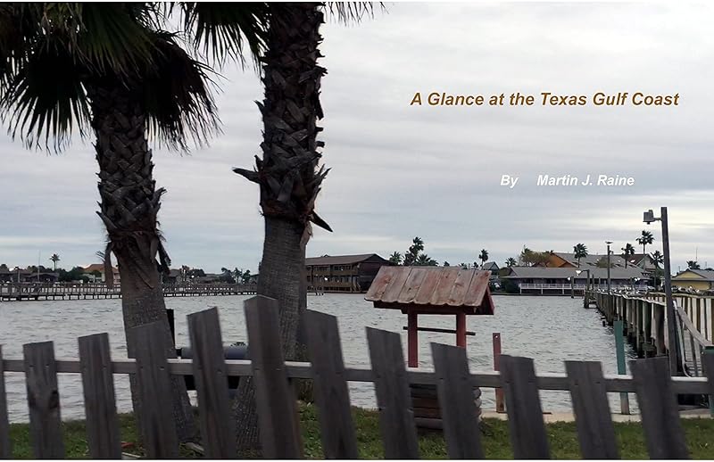 A Glance at the Texas Gulf Coast: before Hurricane Harvey by Martin J. Raine