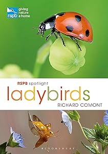 RSPB Spotlight Ladybirds by Richard Comont