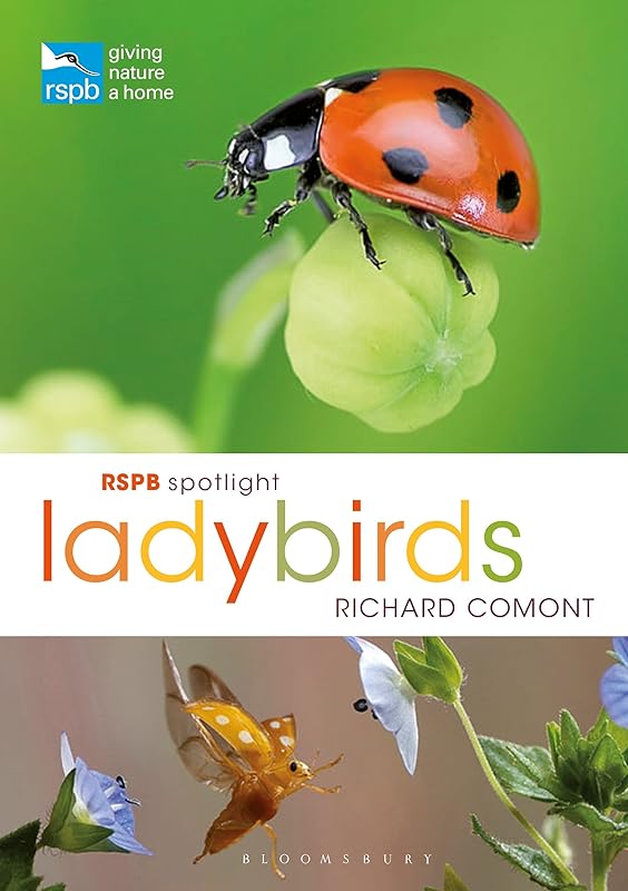 RSPB Spotlight Ladybirds by Richard Comont