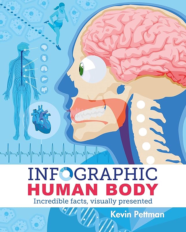 Infographic Human Body: Incredible Facts, Visually Presented (Arcturus Visual Guides, 1) by Kevin Pettman