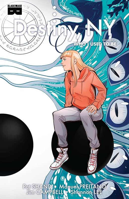 Destiny, NY, Vol 1: Who I Used To Be (1) (Destiny, Ny, 1) by Pat Shand