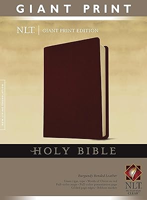 Holy Bible, Giant Print NLT