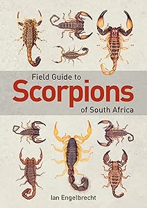 Field Guide to Scorpions of South Africa by Ian Engelbrecht