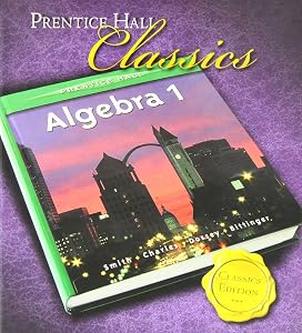 Algebra 1 by Stanley A Smith