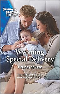 Wyoming Special Delivery (Dawson Family Ranch, 2)