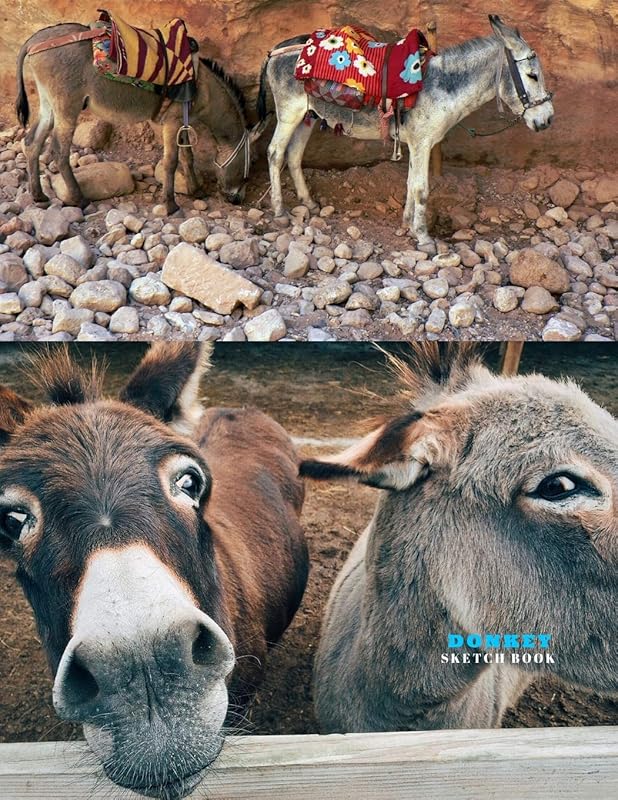 Donkey Sketch Book: Practice Painting, Drawing, writing, Sketching or Creative Doodling. by La Bonnotte Journals