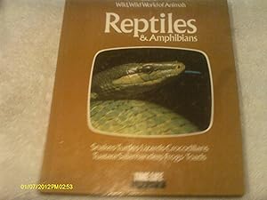 Reptiles and Amphibians (Wild, Wild World of Animals) by Richard Oulahan