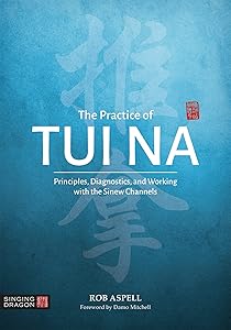 The Practice of Tui Na by Rob Aspell