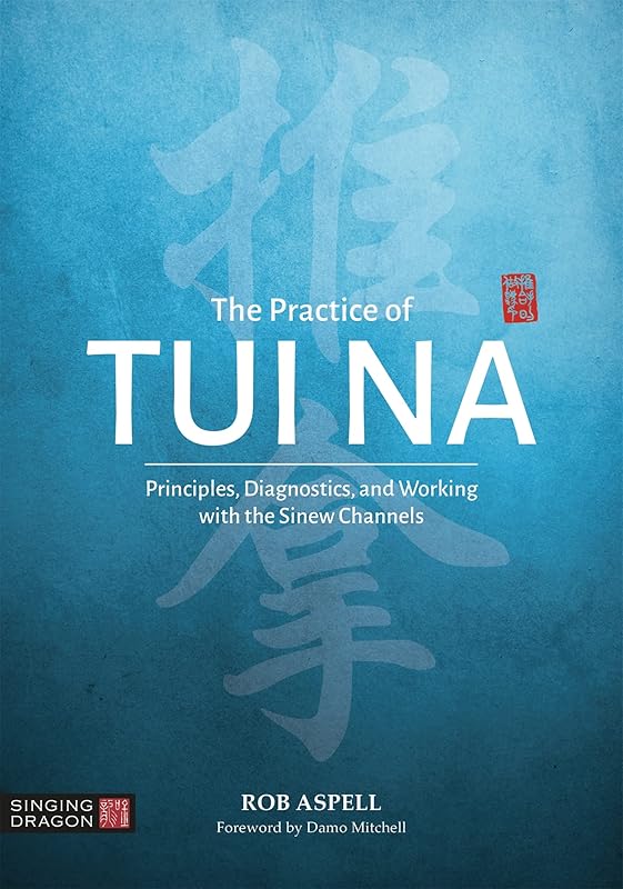 The Practice of Tui Na by Rob Aspell