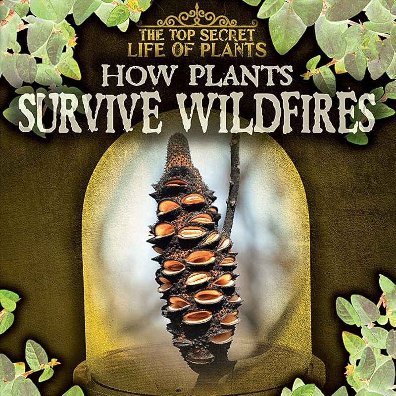 How Plants Survive Wildfires (The Top Secret Life of Plants) by Kate Mikoley