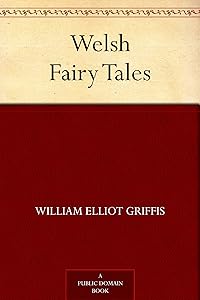 Welsh Fairy Tales by William Elliot Griffis