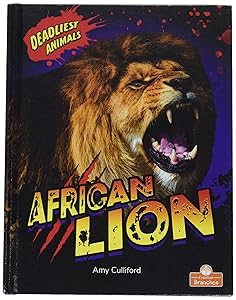 African Lion (Deadliest Animals)