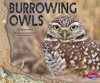 Burrowing Owls