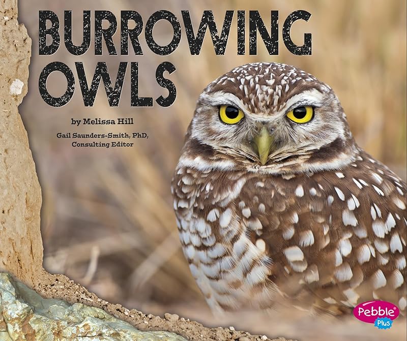 Burrowing Owls by Melissa Hill