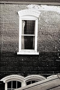 Betrayal In Your Beekman Arms Illustrated by Joan Noeldechen