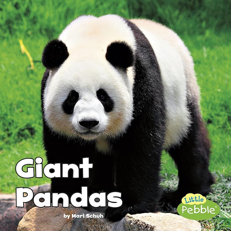 Giant Pandas (Black and White Animals) by Mari Schuh