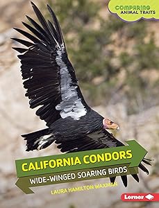 California Condors: Wide-Winged Soaring Birds (Comparing Animal Traits)