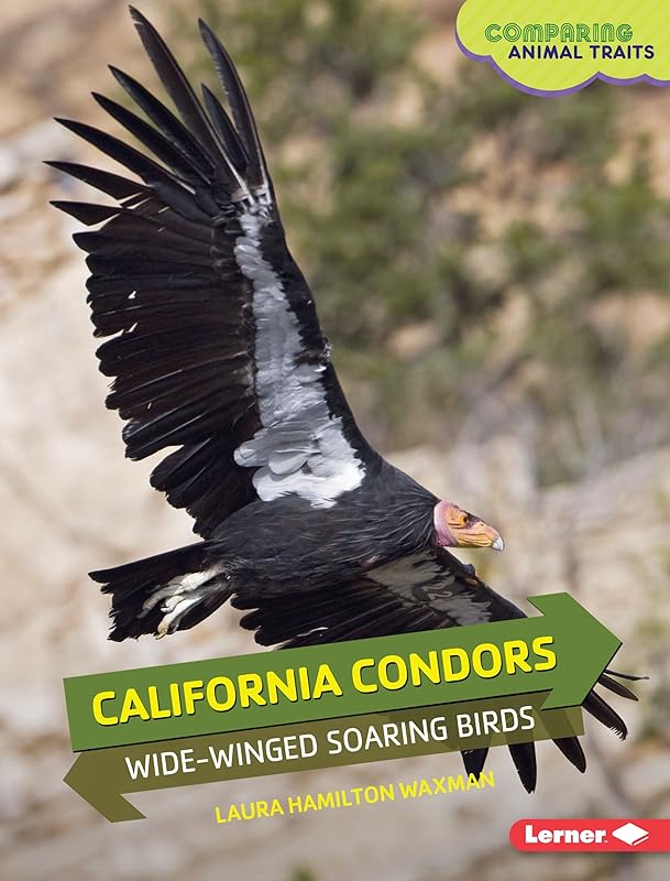 California Condors: Wide-Winged Soaring Birds (Comparing Animal Traits) by Laura Hamilton Waxman