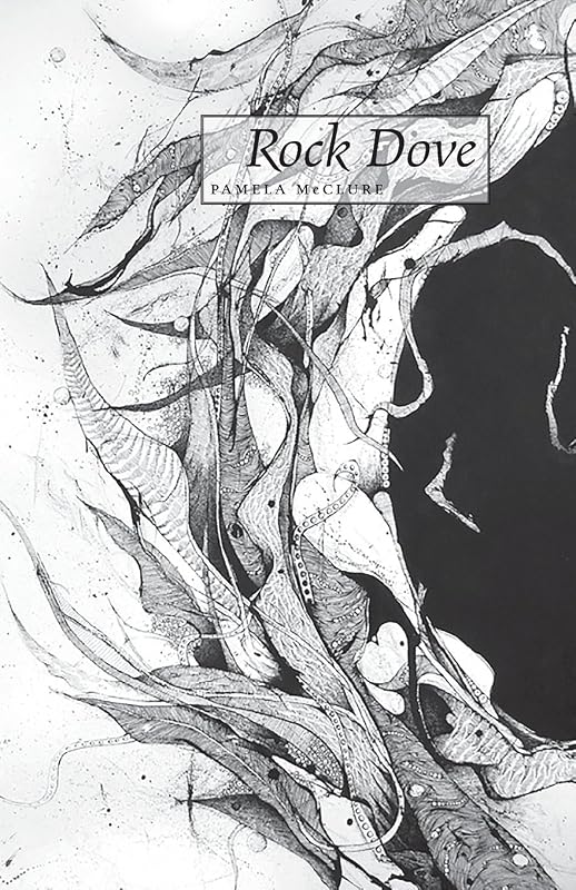 Rock Dove by Pamela McClure