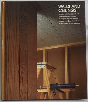 Walls and Ceilings (Home Repair and Improvement)