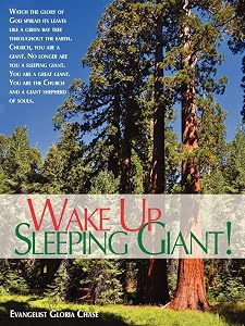 Wake Up Sleeping Giant by Gloria Chase