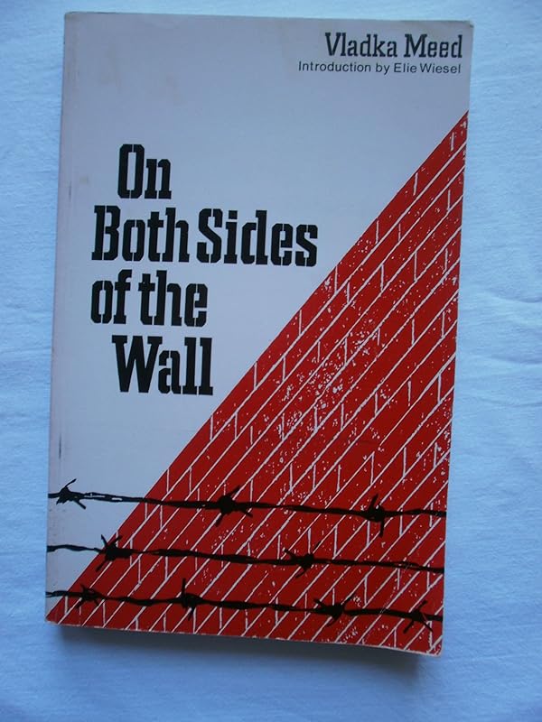 On Both Sides of the Wall: Memoirs from the Warsaw Ghetto by Vladka Meed
