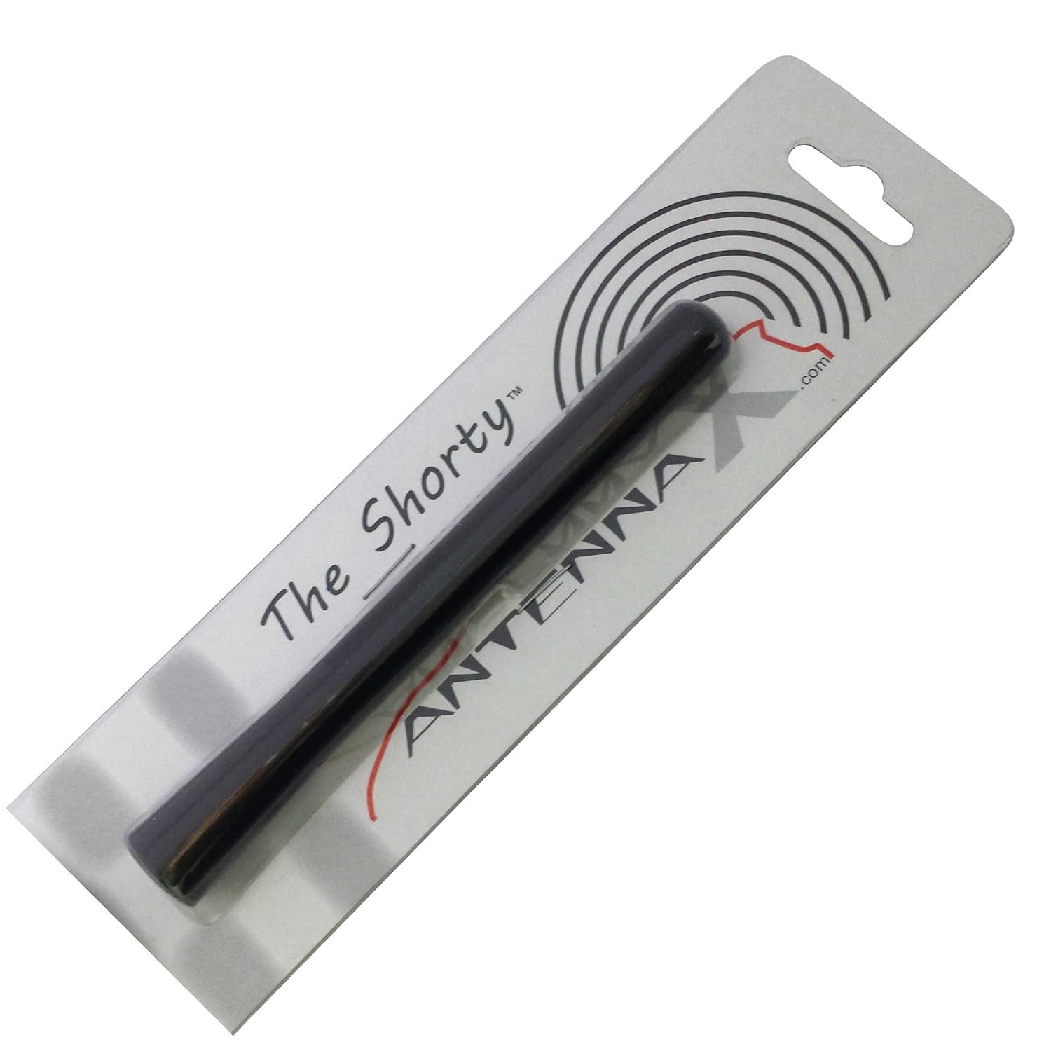 

Black Billet ANTENNA - 1998 thru 2005 Ford Escort ZX2
