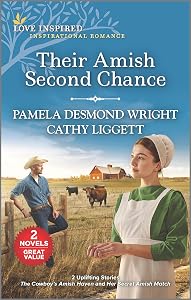 Their Amish Second Chance (Love Inspired) by Pamela Desmond Wright